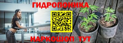 СК Вышний Волочёк
