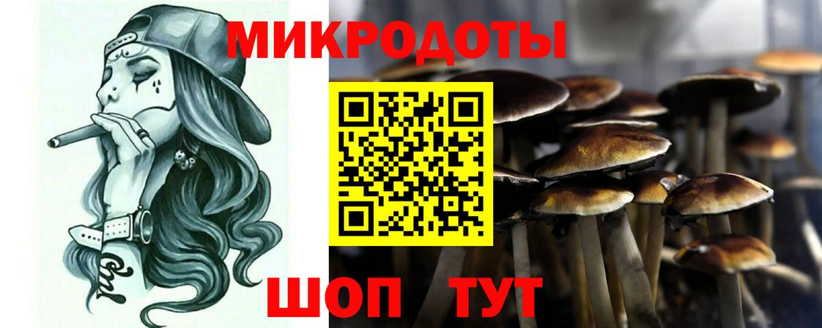 купить наркотики сайты  Вход с VPN  Свободный  Псилоцибиновые грибы MAGIC MUSHROOMS 